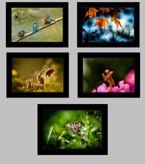 Fotografie Petra Stbrckho