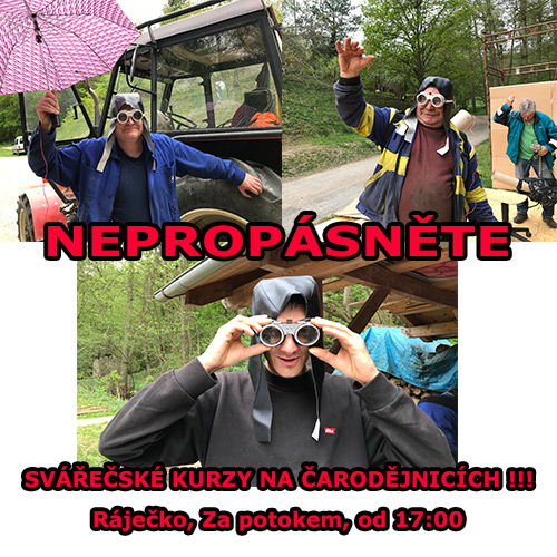 plen arodjnic 2019